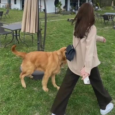 美好的时光